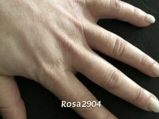 Rosa2904