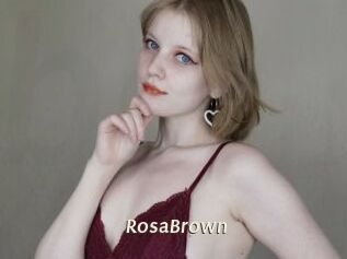 RosaBrown