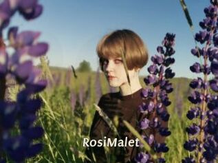 RosiMalet