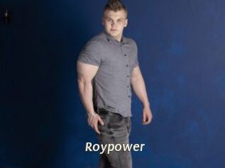 Roypower Blog éjac