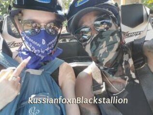 RussianfoxnBlackstallion