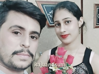 Rajuandsumi