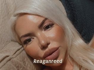 Reaganreed