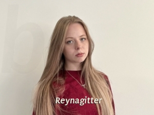 Reynagitter