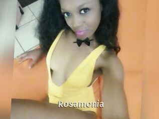 rosamonia Blog éjac