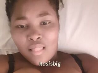 Rosisbig