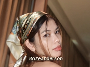 rozeanderson Blog éjac