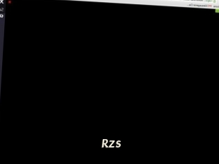 Rzs