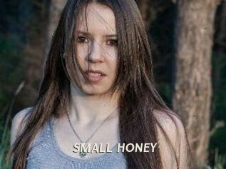 SMALL_HONEY