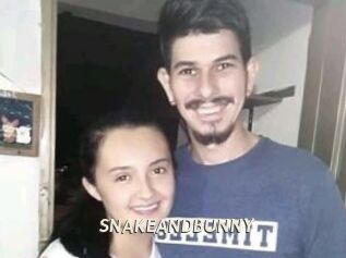 SNAKEANDBUNNY