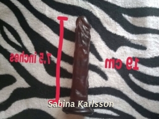 Sabina_Karlsson Blog éjac