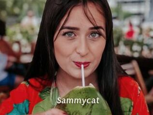 Sammycat