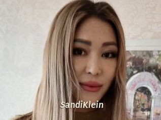 SandiKlein