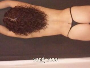 Sandy1000