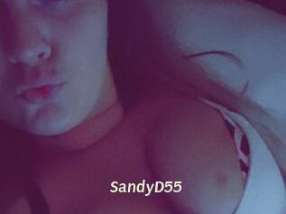 SandyD55