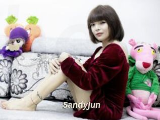 SandyJun Blog éjac