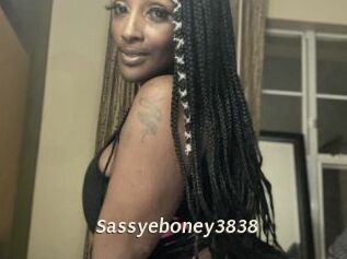 Sassyeboney3838