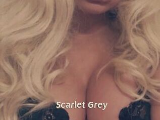 Scarlet_Grey