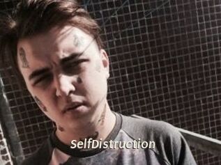 SelfDistruction