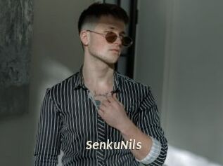 SenkuNils Blog éjac