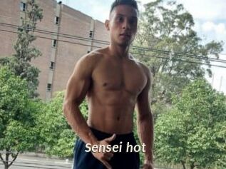Sensei_hot