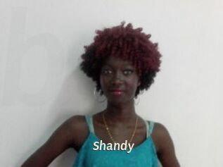 Shandy