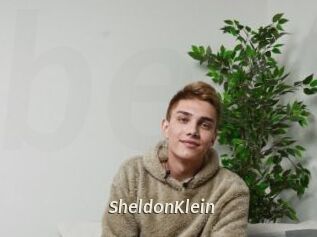 SheldonKlein