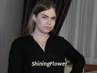 ShiningFlower