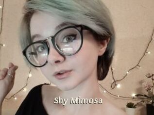Shy_Mimosa