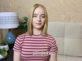 SilinBekk