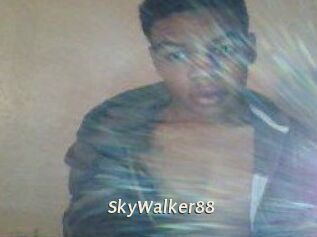 SkyWalker88