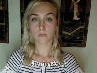 SoaringBlonde