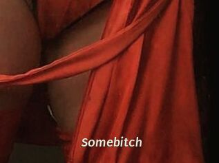Somebitch
