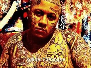 SpiderTheSnake
