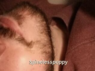 Spinelesspoppy
