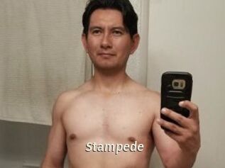 Stampede