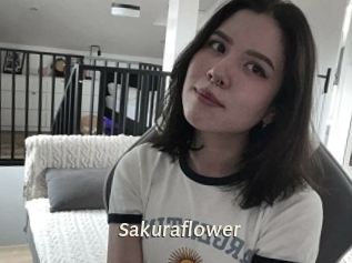 Sakuraflower