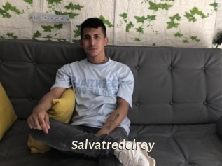 Salvatredelrey