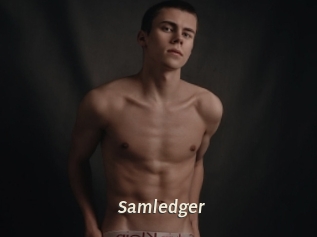 Samledger