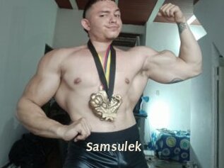 Samsulek