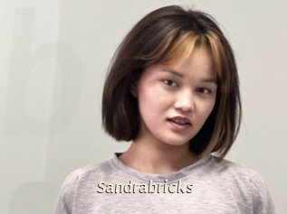 Sandrabricks