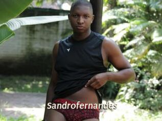 Sandrofernandes