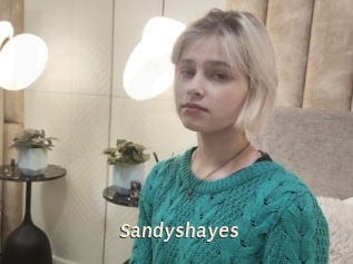 Sandyshayes
