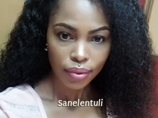 Sanelentuli