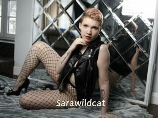 Sarawildcat