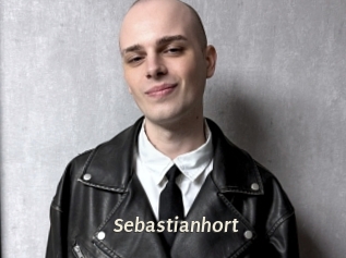 sebastianhort Blog éjac