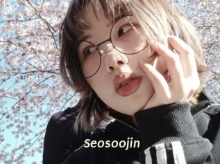 Seosoojin