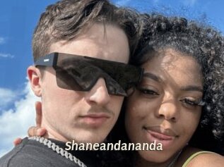 Shaneandananda