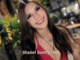 Shanel_bunny_real