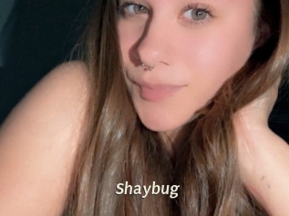 shaybug Blog éjac